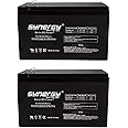 Beiter DC Power High Performance Rechargeable 24 Volt (2 12V Batteries) Battery Pack for The Razor E300 & Razor E325, W15130640003, W13112430003, W13112430185, W15130412003