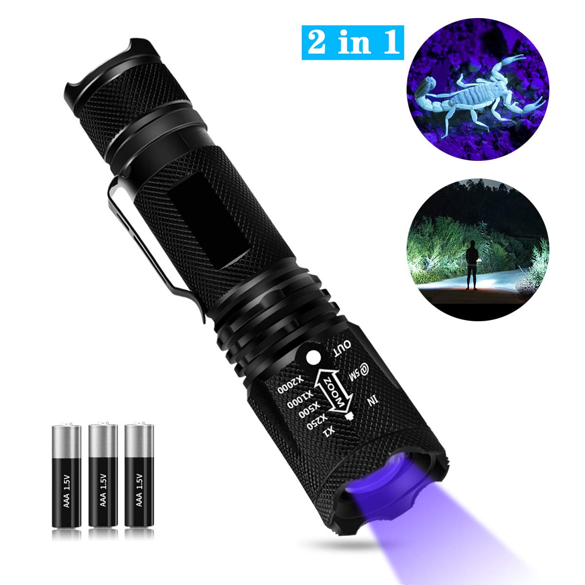 Best matching carpet and paint