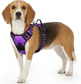 Eagloo Dog Harness Small Adjustable Soft Padded Front Clip Reflective Purple S