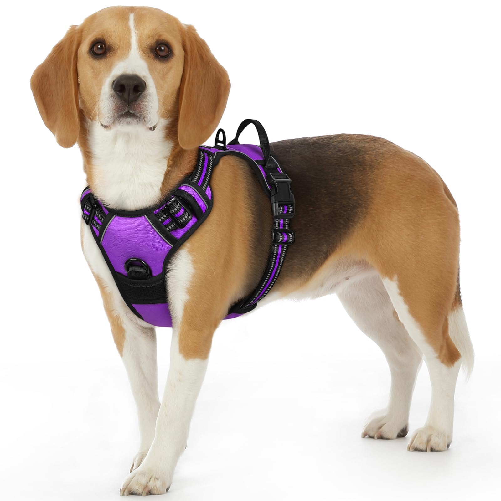 Eagloo Dog Harness Small Dog, Adjustable Soft Padded Pet Vest, Front Clip No Pull Pet Walking Harness, Reflective No-Choke Breathable Puppy Vest with Easy Control Handle, Purple, S