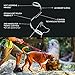 EzyDog ZERO SHOCK Leash - Best Shock Absorbing Dog Leash, Control & Training Lead (25