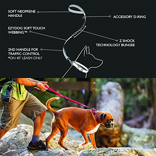 image for EzyDog Zero Shock Leash - Best Shock Absorbing Bungee Dog Leash & Trai