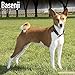 Basenji Calendar 2017 - Dog Breed Calendars - 2016 - 2017 wall calendars - 16 Month by Avonside
