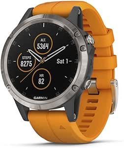 garmin fenix 55 plus