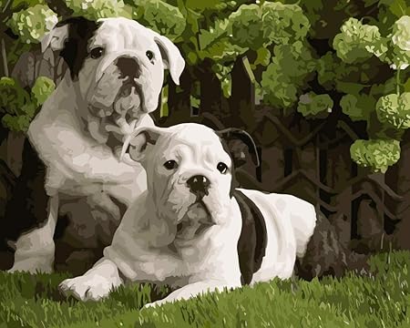 Amazon Fupos Diyデジタル油絵 番号でペイント ナンバーズ犬の動物によるかわいいブルドッグdiy絵画リビングルームの家の装飾のための 手描きのキャンバス油絵 テン刻 通販