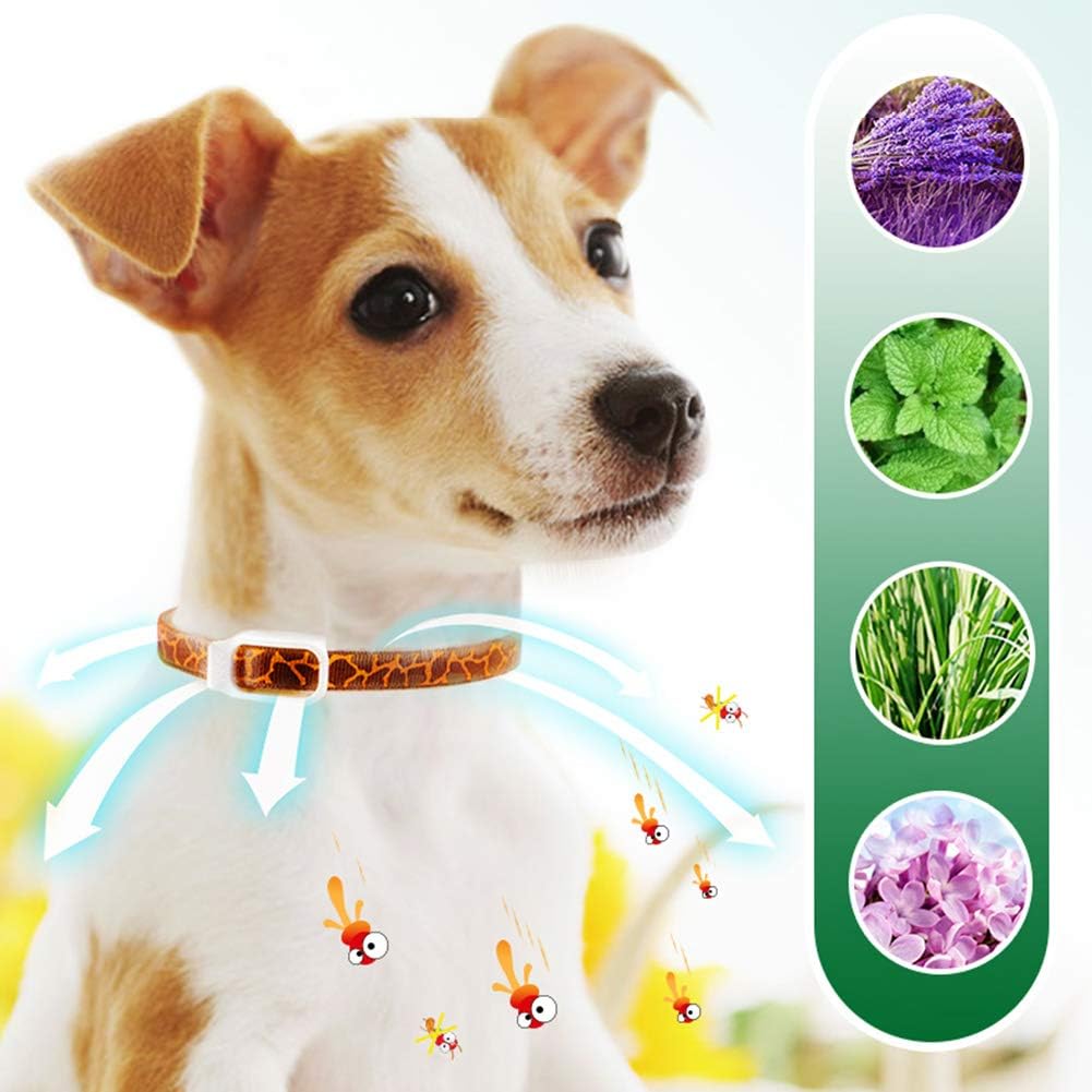Amazon Co Jp 犬防虫首輪 ゴキブリに加えて 猫忌避猫の円は ノミの薬犬のリングカラーの防虫ペットに加えて シラミを防ぐために ブルー ホーム キッチン Amazon Co Jp 犬防虫首輪 ゴキブリに加えて 猫忌避猫の円は ノミの薬犬のリングカラーの防虫ペットに加えて シラミを防ぐために ブルー ホーム キッチン