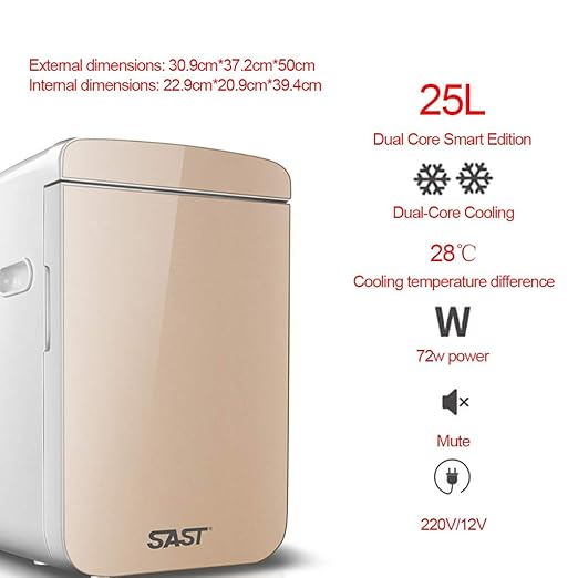 BAIF Mini Nevera Silent 25L Cooler and Warmer 12V / 220V para ...