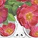 Lightclub Nordic Sunglasses Flower Girl Canvas Frameless Indoor Wall Painting Decoration Size 50cm x 70cm