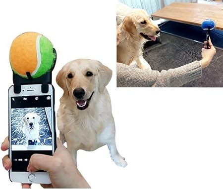 Amazon Co Jp 自撮り棒 ペットに写真撮り アクセサリ 自分撮り 犬 おもちゃ Pet Selfie Tennis Ball Toy With Stick For Pet Dog Attachment Smartphone Rubber Cap 子犬 いぬ 写真 さつえい おもちゃ
