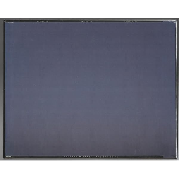 Amazon.com: Richard Misrach: Chronologies: 9781933045283: Misrach