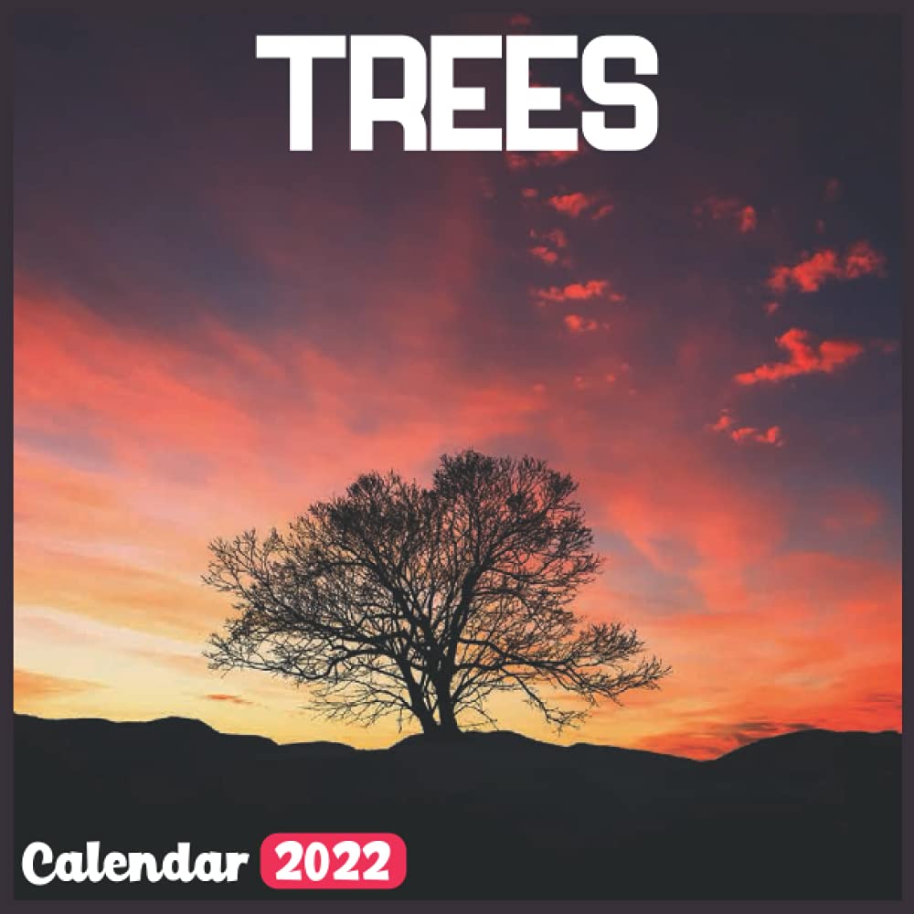 Trees Calendar 2022: Official Trees Calendar 2022, 18 Month Photo Of Trees Calendar 2022, Mini Calendar: Amazon.co.uk: Botmir, Dopmib: 9798519608992: Books
