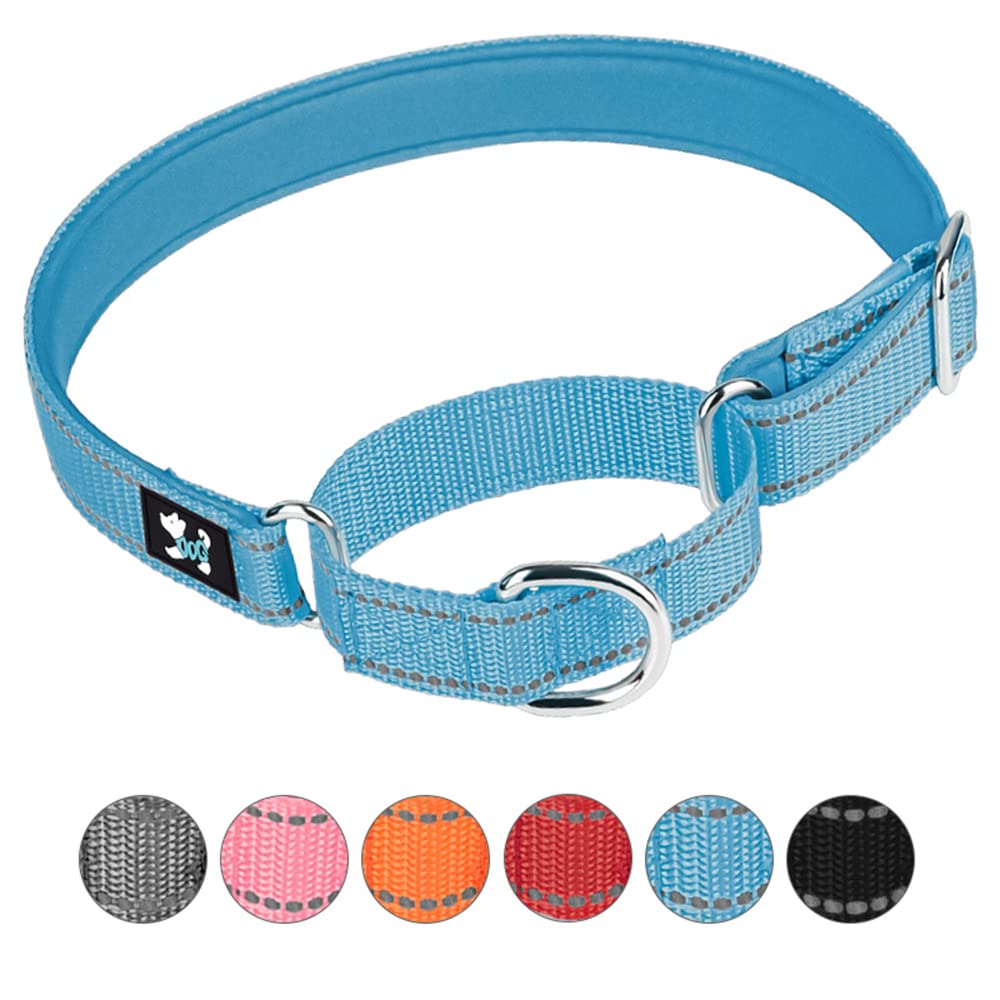 haoyueer Adjustable Martingale Safety Training Dog Collars, Soft Neoprene Padded Breathable Nylon Pet Collar for Small Medium Large Dogs (S, Blue)