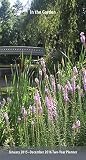 In the Garden 2015 Pocket Planner by 