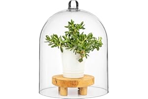 HOMAISSON Transparent Acrylic Cloche, 10×13" Thick Acrylic Dome, Large Display Cover, Dust-Proof Centerpiece Display Dome, Decorative Showcase Cover for Plants, Candles, Cakes