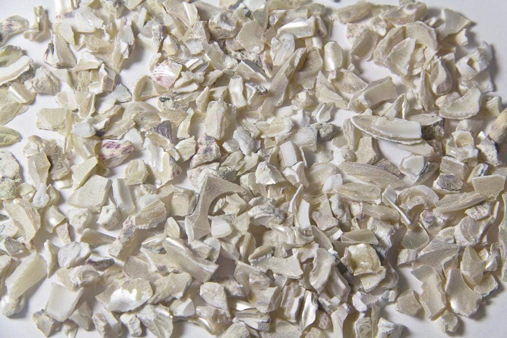 Hardscaping Materials - Walttools Terrazzo Grade Decorative Aggregate Stones for Countertops, Terrazzo Flooring, Outdoor Gardens, etc. (5 pounds, Mother of Pearl)