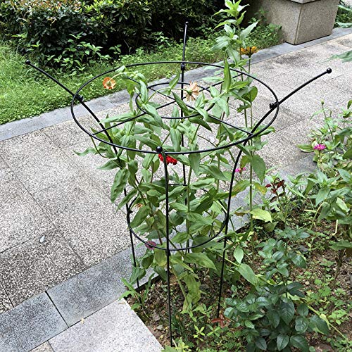 CJSWT Rankgerüst Kletterpflanzen, Rankhilfe, für Kletterrebe-Blumen,Obelisken Garten, für Jede Terrasse, Rasen, Garten… – Bild 4