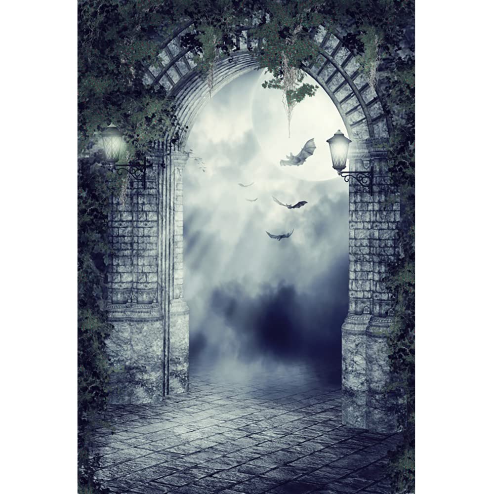 Aoihrraan 2,5x3m Halloween Backdrop Castle Stone Arch Full Moon Bats Leaves Gloomy Gothic Building Photography Background Horror Theme Party Decor Kids Adults Artistic Portrait Photo Studio Props