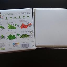 SeedBox SBMIMG Kit huerto Urbano de Menta, Blanco, 20x25x25 cm ...