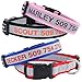 GoTags Reflective Personalized Dog Collar, Custom Embroidered with Pet Name and Phone Number in Blue, Black, Pink, Red and Orange, for Boy and Girl Dogs, 3 Adjustable Sizes, Small, Medium, and Largethumb 1