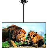 Suptek Ceiling TV Wall Mount Fits 37-75 inch LCD LED Plasma Monitor Flat Panel Screen Display with VESA 600x400 (Max) Loaded 