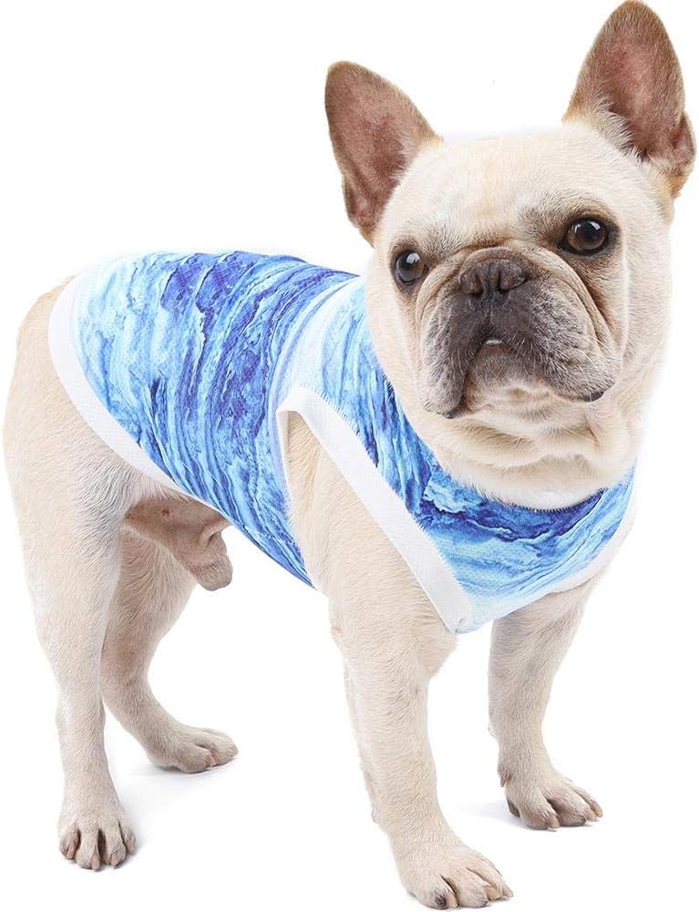 dog cooling jacket amazon