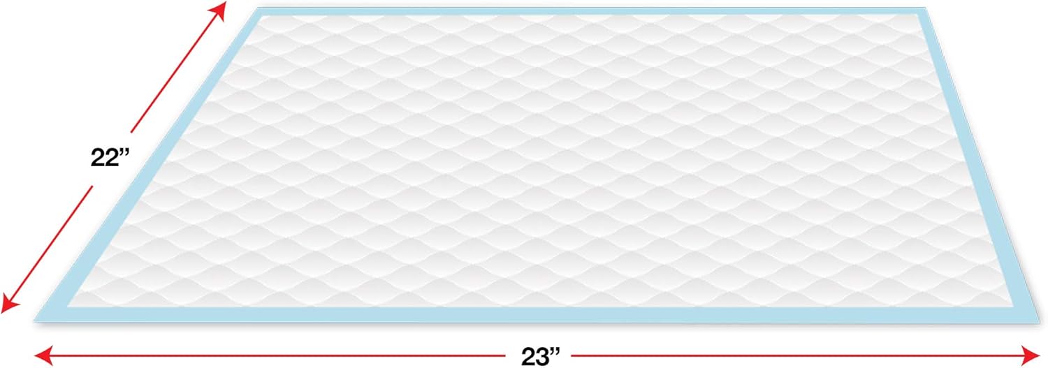 Wee-Wee Puppy Training Pee Pads 200-Count 22" x 23" Standard Size Pads for Dogs : Pet Supplies