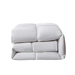 Serta Goose Feather Down Fiber Cotton Comforter