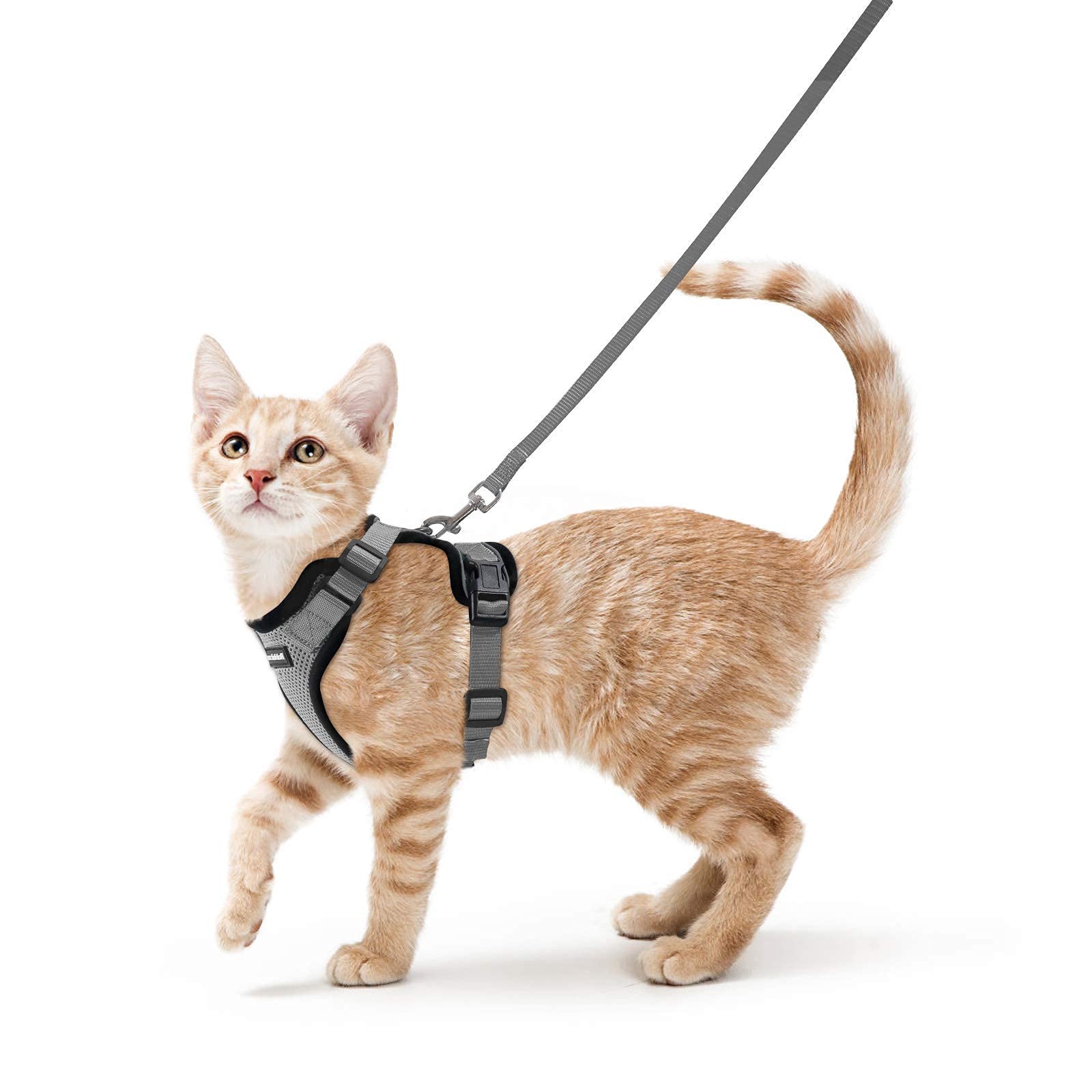 Photo 1 of rabbitgoo Cat Harness and Leash for Walking, Escape Proof Soft Adjustable Vest Harnesses for Cats, Easy Control Breathable Reflective Strips Jacket, Grey, XS