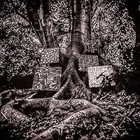 Kamasi Washington Ablum Cover