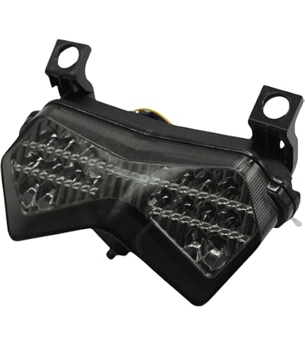 Amazon.com: TASWK Motorcycle LED Tail lights whit Integrated Turn