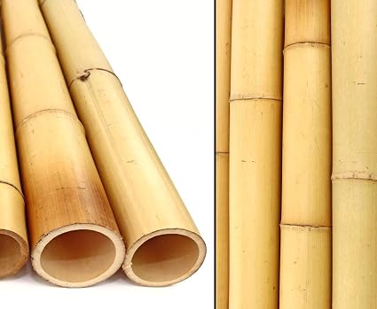 Bambou Moso Blanchi Naturel - Tige 200 Cm, Diamètre 6-7 Cm - Idéal Décoration Jardin & Intérieur