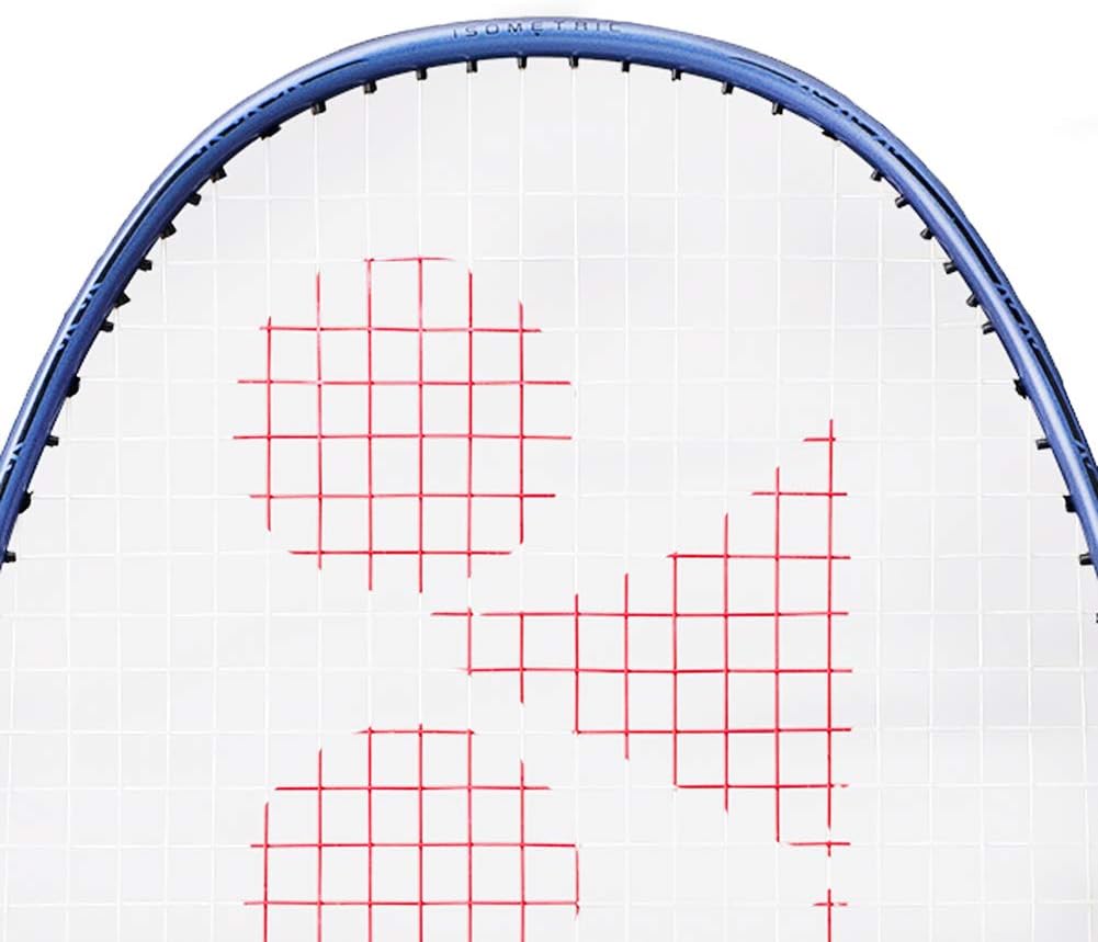 YONEX Nanoray 10F Hi-Flex Pre-Strung Badminton Racquet, Black/Blue: Sports & Outdoors