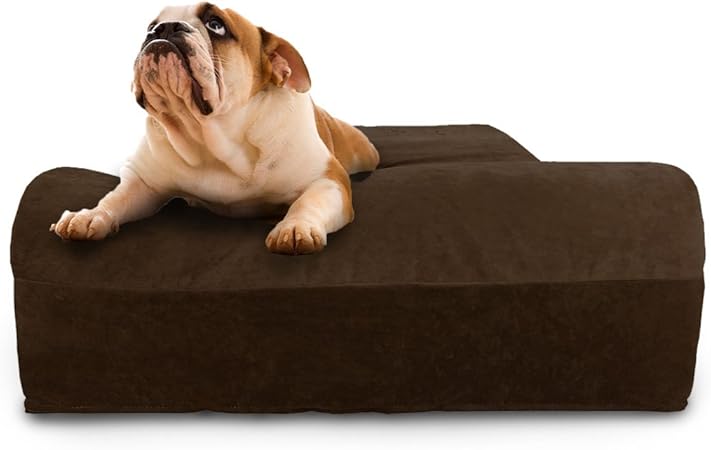 highest rated dog bed