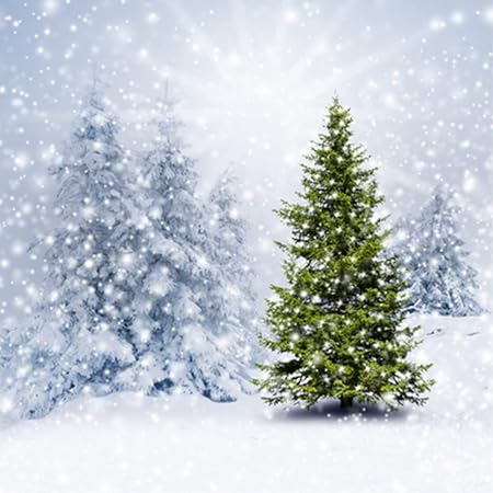 Amazon 写真撮影用クリスマスバックドロップ 5 7 キラ光る雪の結晶 写真背景 クリスマス グリーン クリスマスツリー アウトドア 背景 カスタマイズ可 バックペーパー 背景布 通販