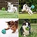 MixMart Natural Rubber Dog Toy Balls (2.6in) with Minty Scent-2 Pack (Grass Green/Mint)
