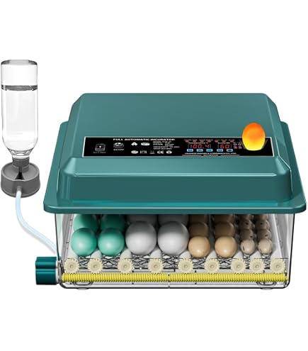 48 Egg Automatic Incubator With Digital Display - Auto Turning & Humidity Control For Chicken Duck Quail Eggs
