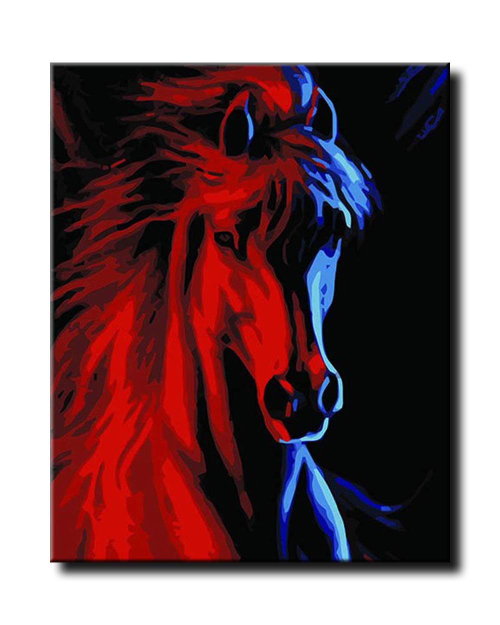 Shukqueen Paint by Number, DIY Oil Painting for Adults, Beginner's, 16X20 Inch, Frameless