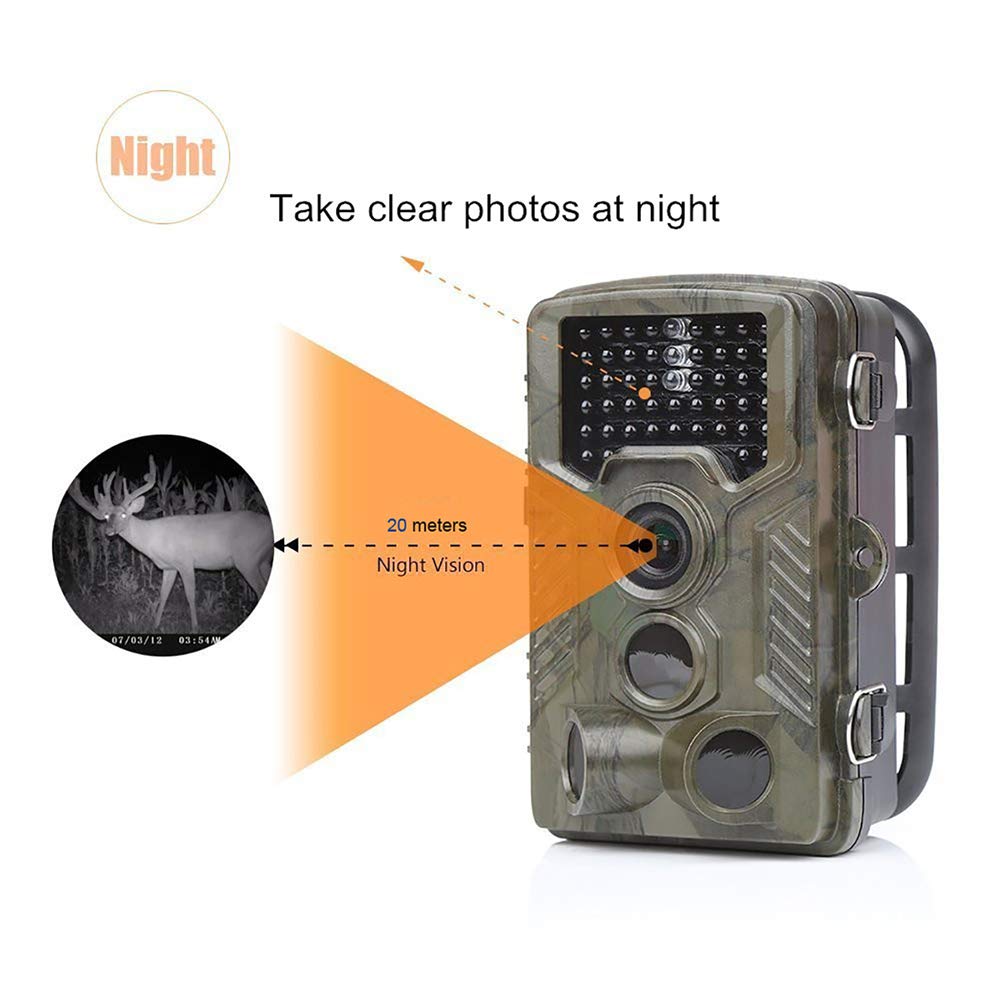 Cámara Vida Silvestre, La Caza de Vigilancia de la cámara del ...