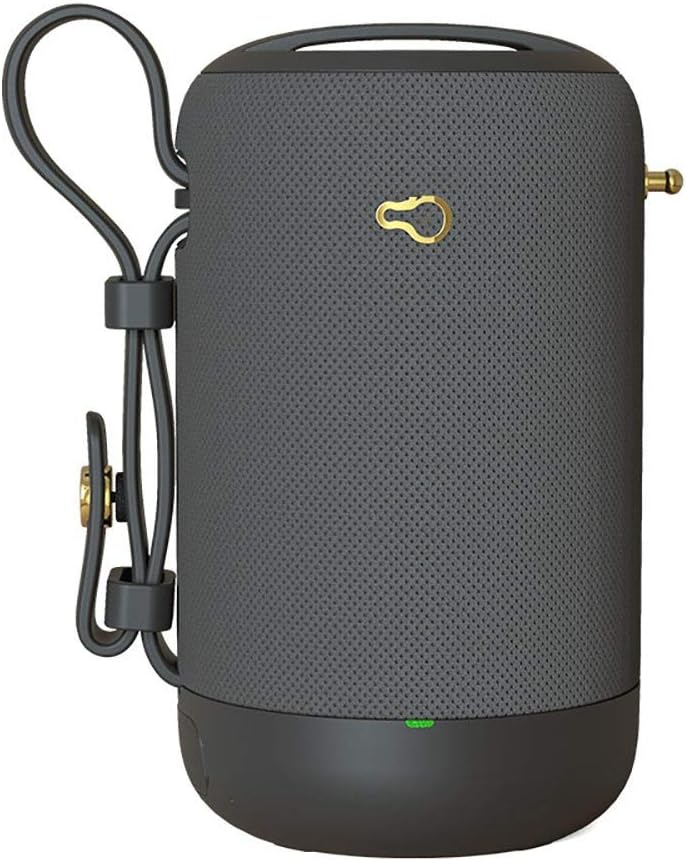 shower stereo system