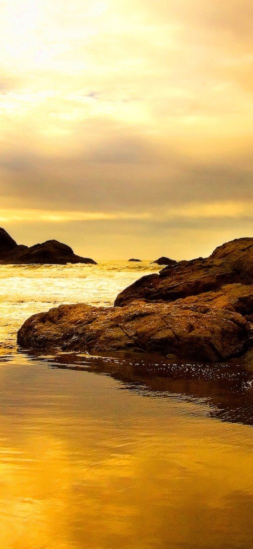 PeelitStickit, Beautiful Nature Wall Murals, ID-3141, vinyl