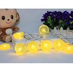 Fruit String Lights Battery Powered Indoor Outdoor