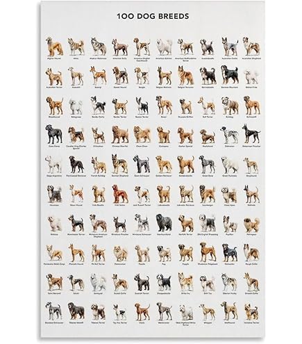 How Many Dog Breeds are in the World: Discover the Ultimate Count
