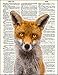 Dictionary Art Print - Red Fox - Printed on Recycled Vintage Dictionary Paper - 8