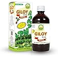 BASIC AYURVEDA Giloy Juice Drink Sharbat – 16.23 Fl Oz (480ml) | Herbal Tinospora Cordifolia Juice | Refreshing Daily Drink for Wellness & Balance | No Added Sugar or Preservatives