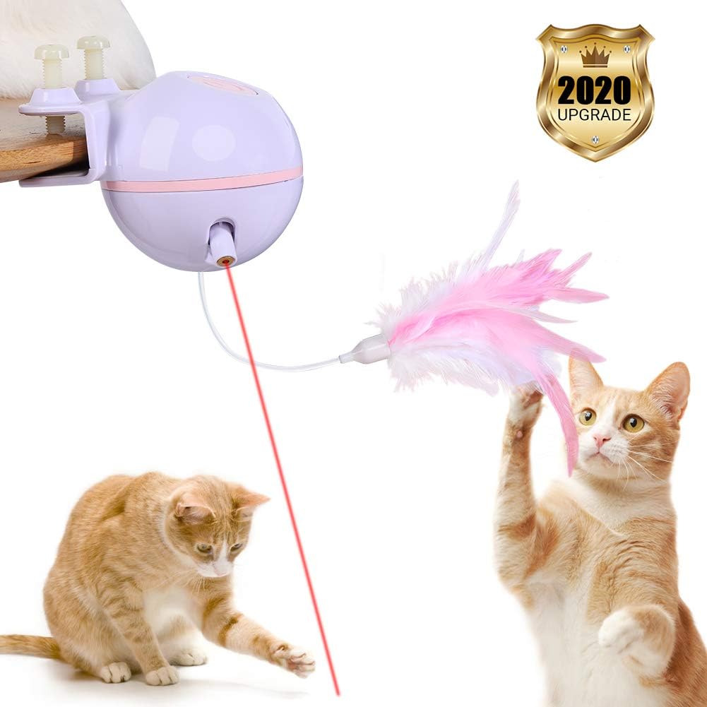 giocattoli laser per gatti