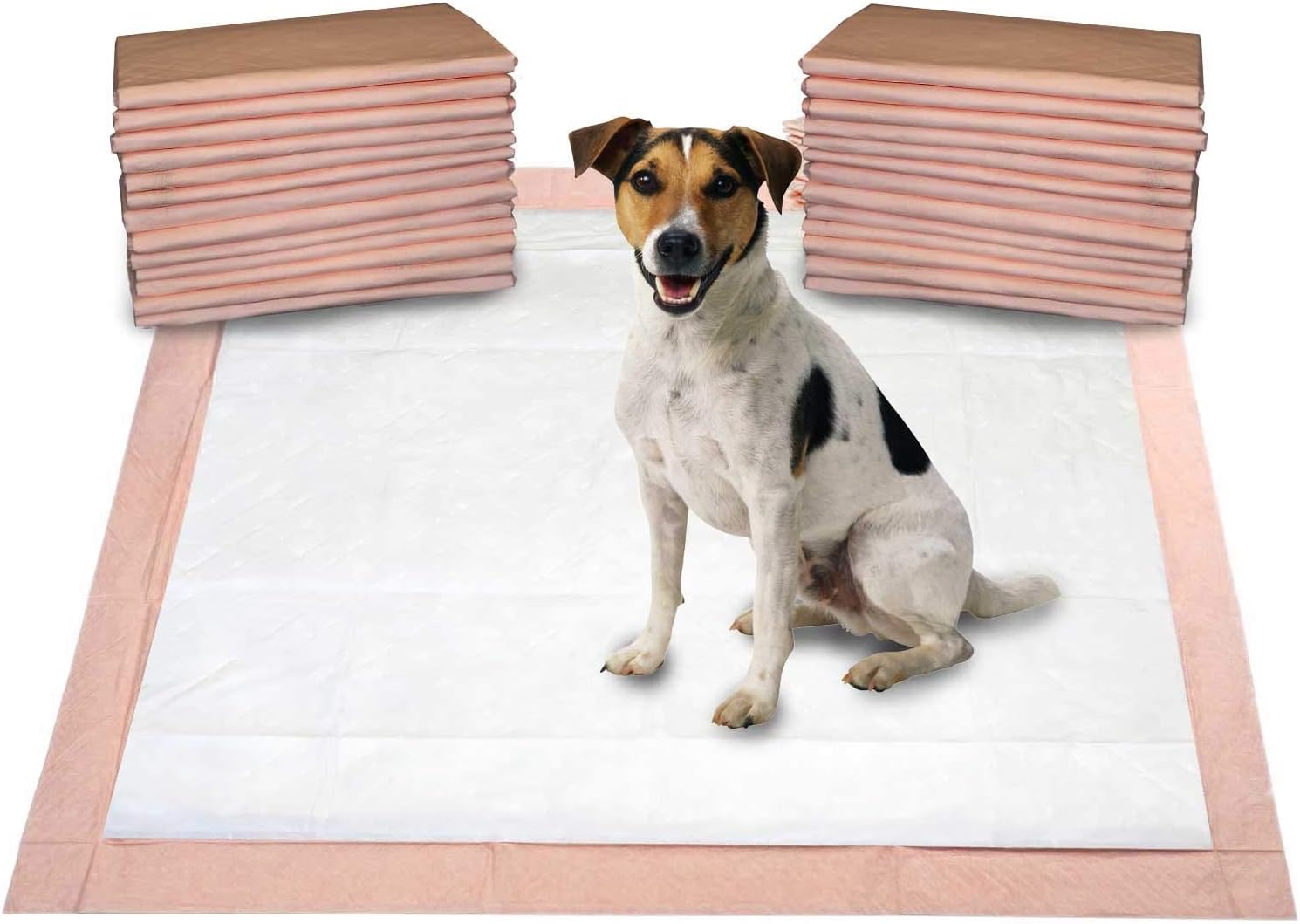 xxl dog training pads