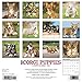 Just Corgi Puppies 2019 Wall Calendar (Dog Breed Calendar)