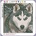 Fairylove 30×30 Diamond Painting Kit Dogs Full Drill Paint with Diamonds Dotz Kit for Fun Diamond Cross Stitch Kits Embroidery Art Crafts,Husky in The Snow Day