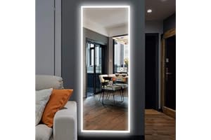 NeuType 65"x22" LED Mirror Full Length Large Rectangle Bedroom Bathroom Living Room Dressing Mirrors with Touch Button and Plug, Dimmable Lighting, Stepless Dimming, Burst-proof Glass, Anti-fog