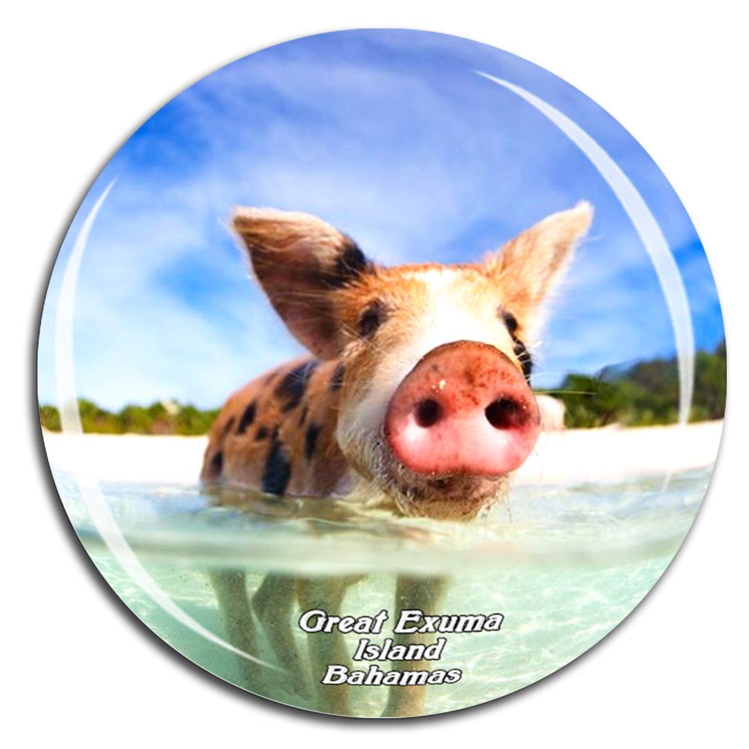 The 10 Best Sea Island Refrigerator Magnets